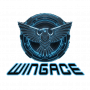 wing_ace_new_logo_gdf.png